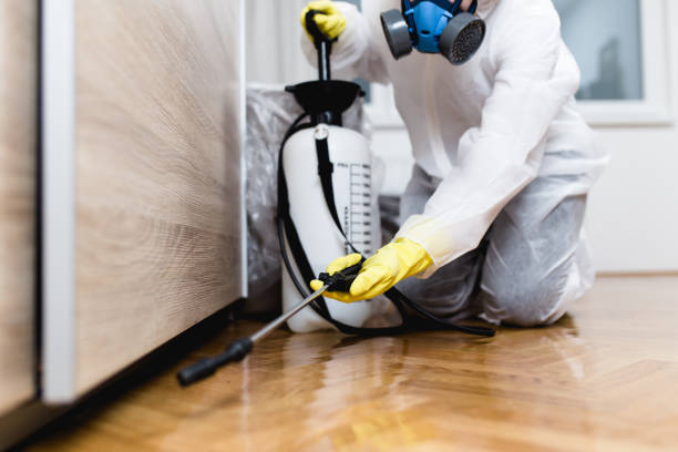 Best Affordable Pest Control Services  in Brilliant, OH