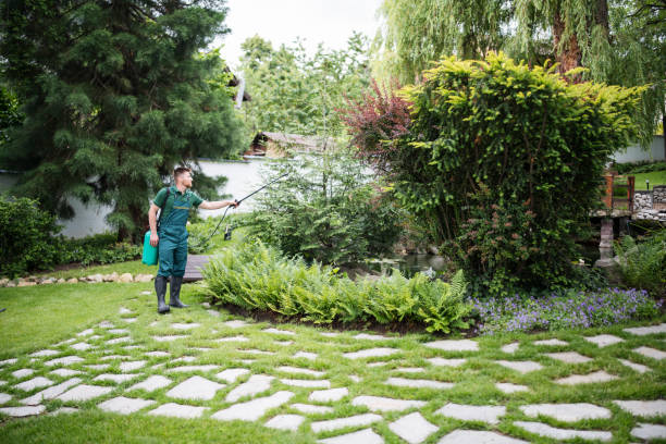 Best Pest Prevention Services  in Brilliant, OH