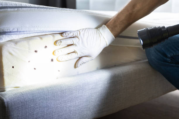 Best Best Pest Control Companies  in Brilliant, OH