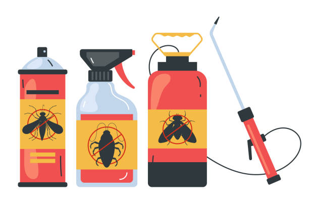Best Spider Control Near Me  in Brilliant, OH