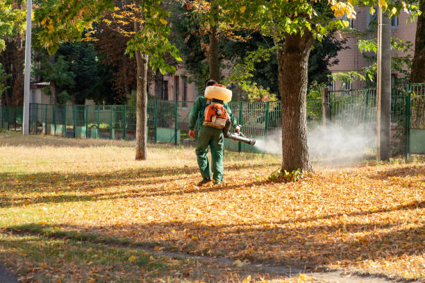 Reliable Brilliant, OH Pest Control Solutions