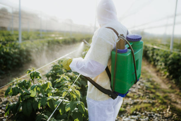 Best Affordable Pest Control Services  in Brilliant, OH